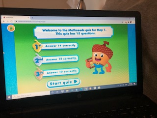 Welcome to Mathseeds